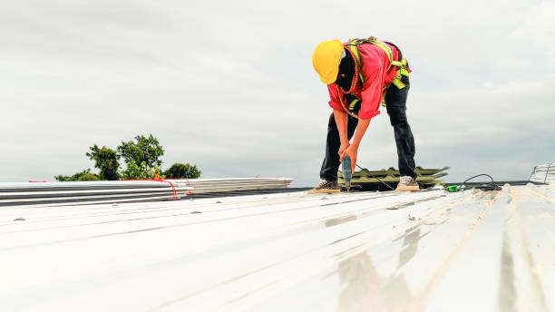 Best Solar Panel Roofing Installation  in South Fulton, TN