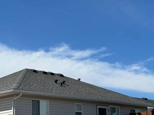 Best Roof Insulation Installation  in South Fulton, TN